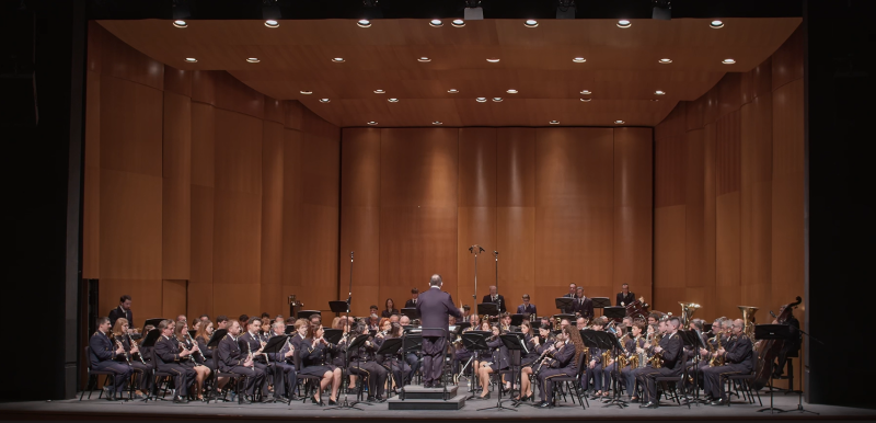 Crònica Concert Diumenge de Rams 2026